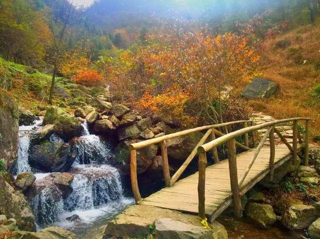 部落冲突：皇室战争